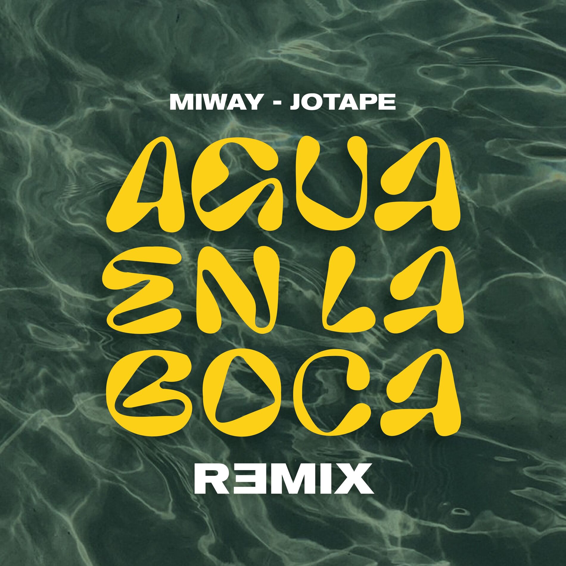 Album cover of Agua En La Boca (Remix)