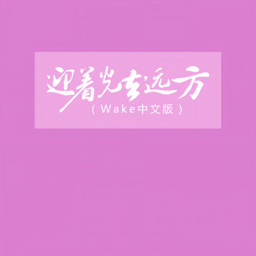 迎着光去远方 (Wake中文版)