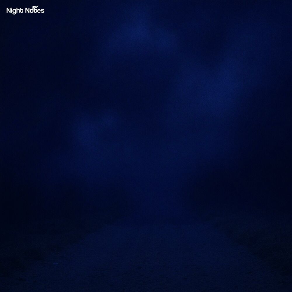Picture of Road to Nowhere
