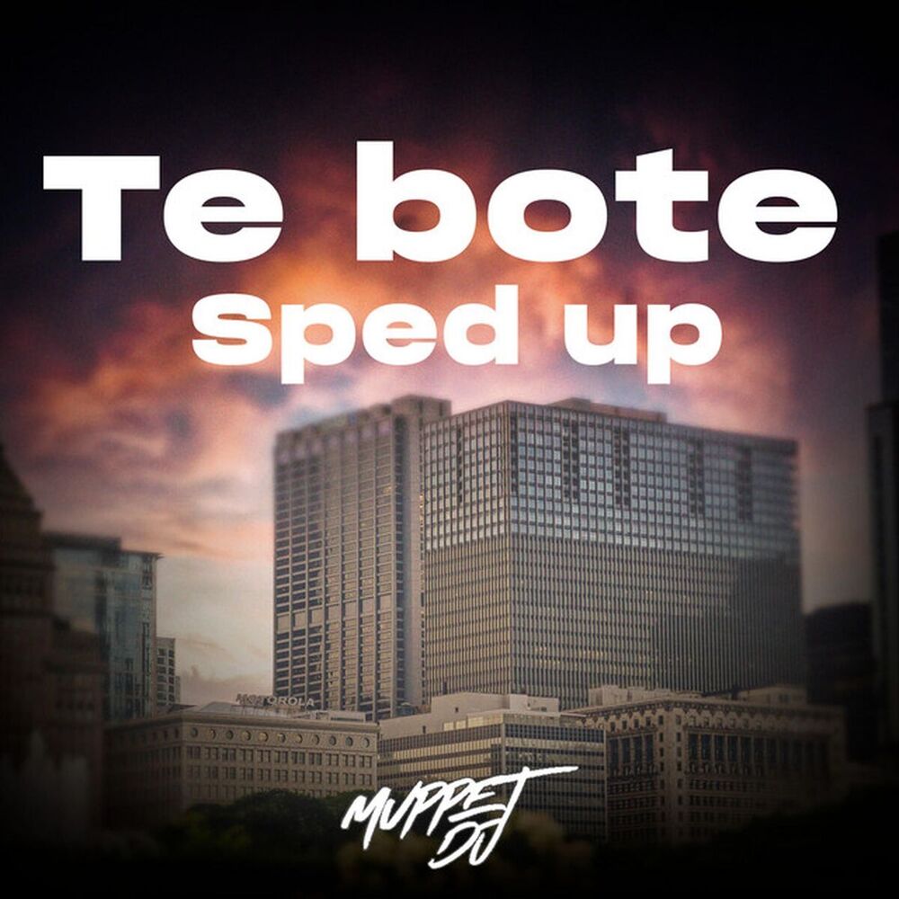 Picture of Te Bote (Sped Up) - Remix
