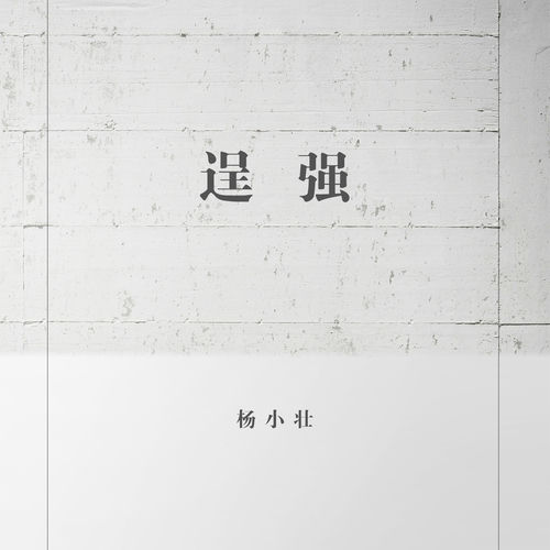 逞强 (DJ版)