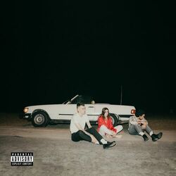 Cover of Hallucinations