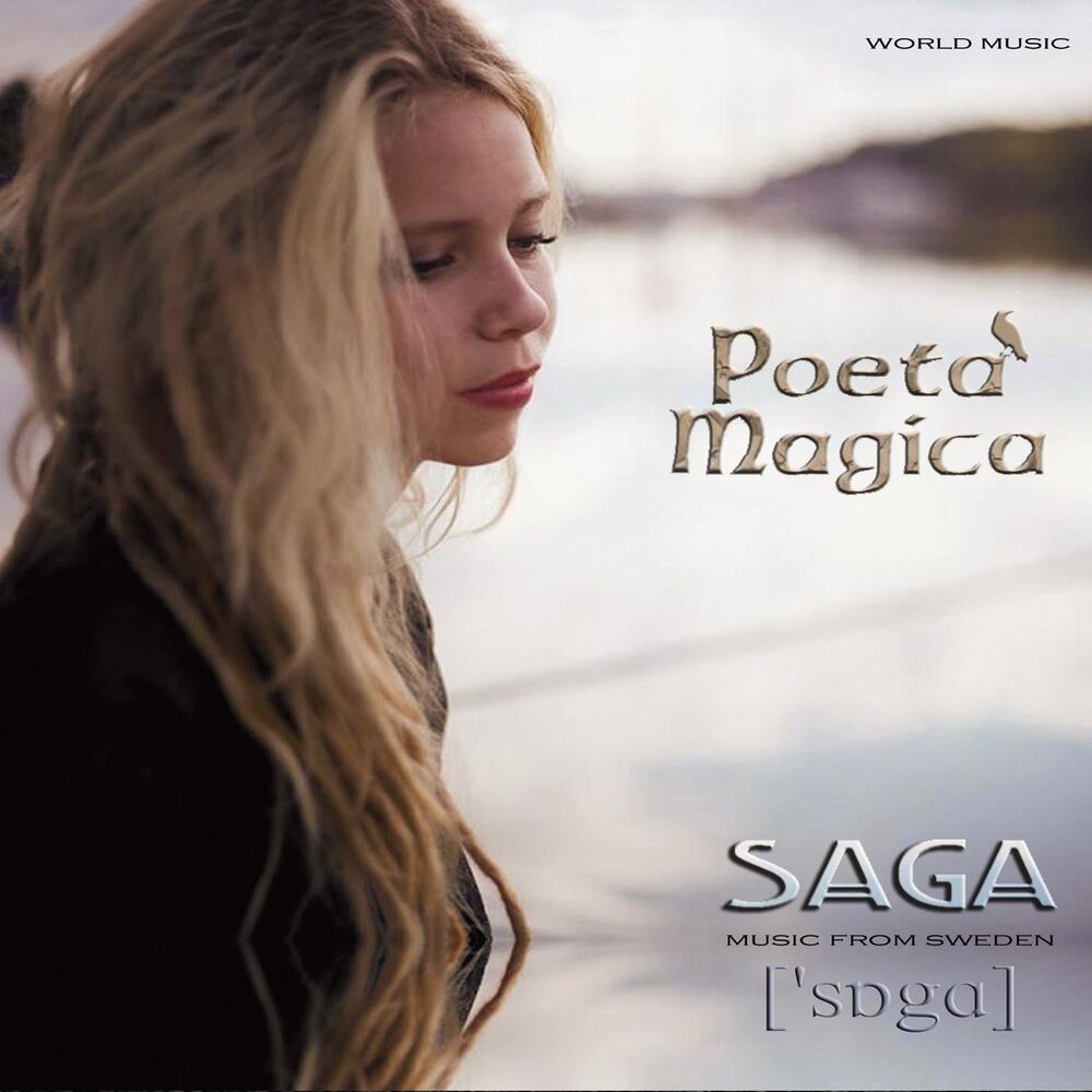 Picture of SAGA