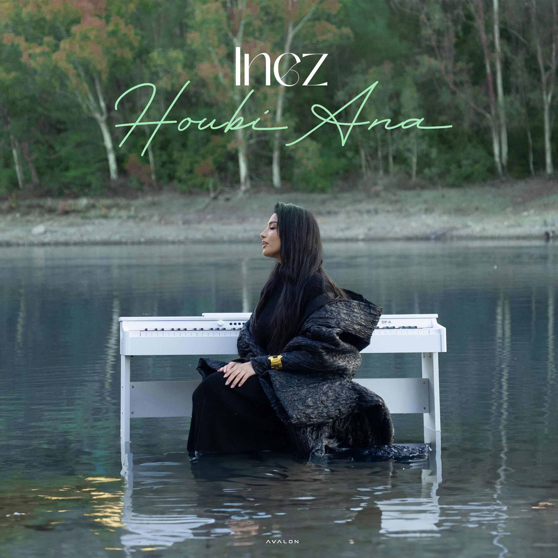 Album cover of Houbi Ana