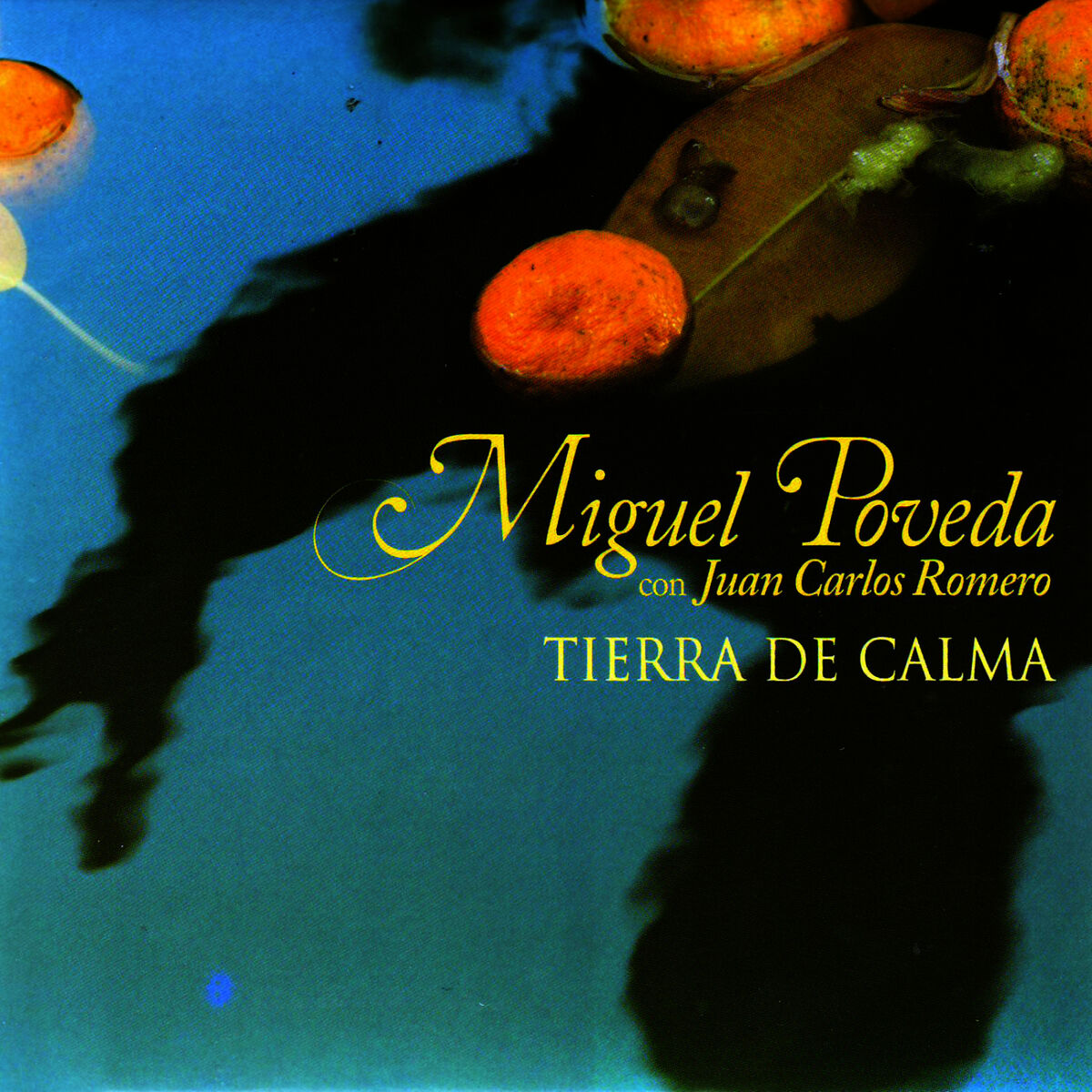 Album cover of Alfileres De Colores
