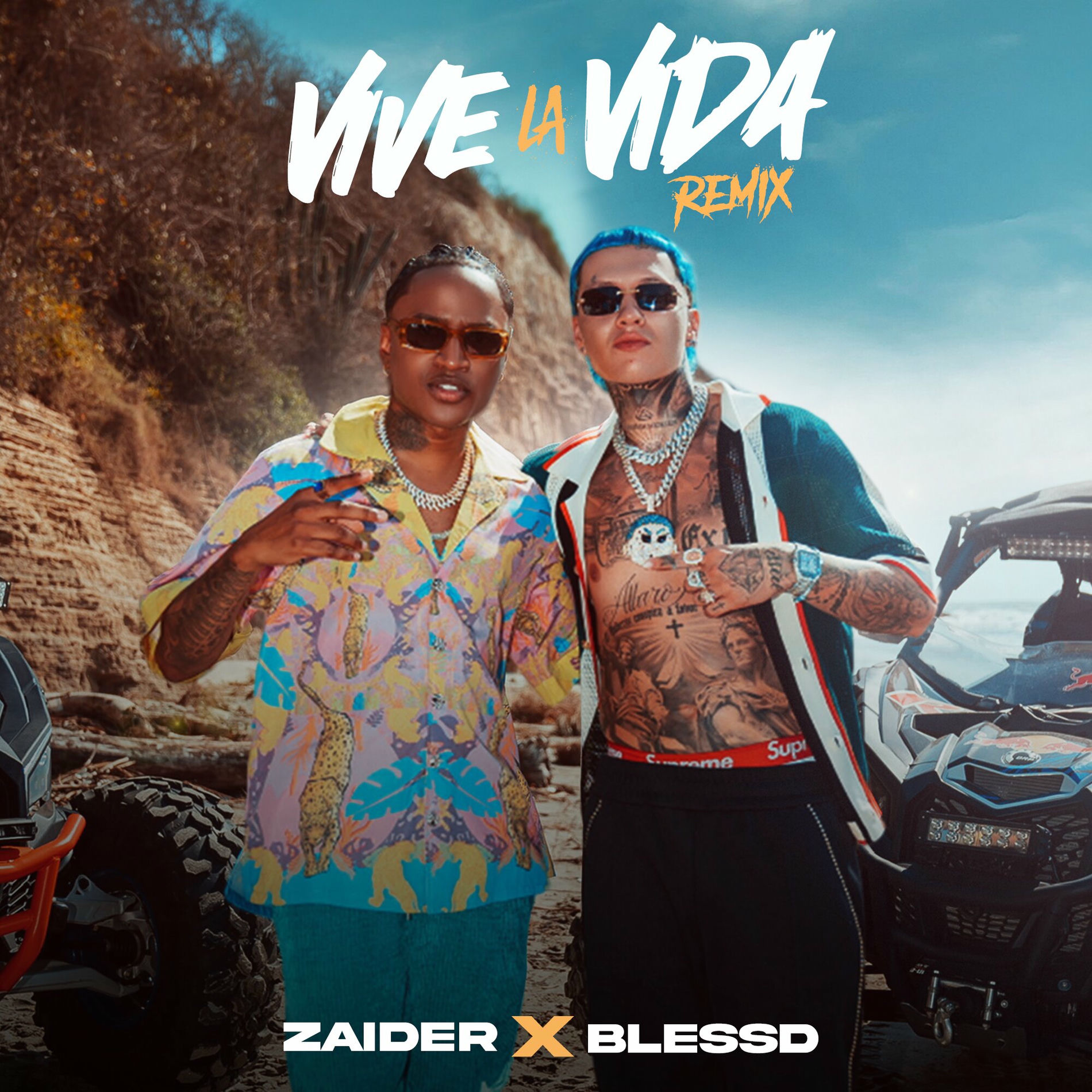 Album cover of Vive La Vida (Remix)
