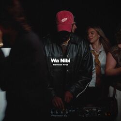 Cover of Wa Nibi