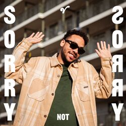 Sorry Not Sorry
