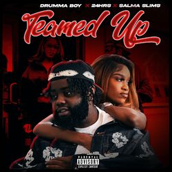Cover of Teamed Up