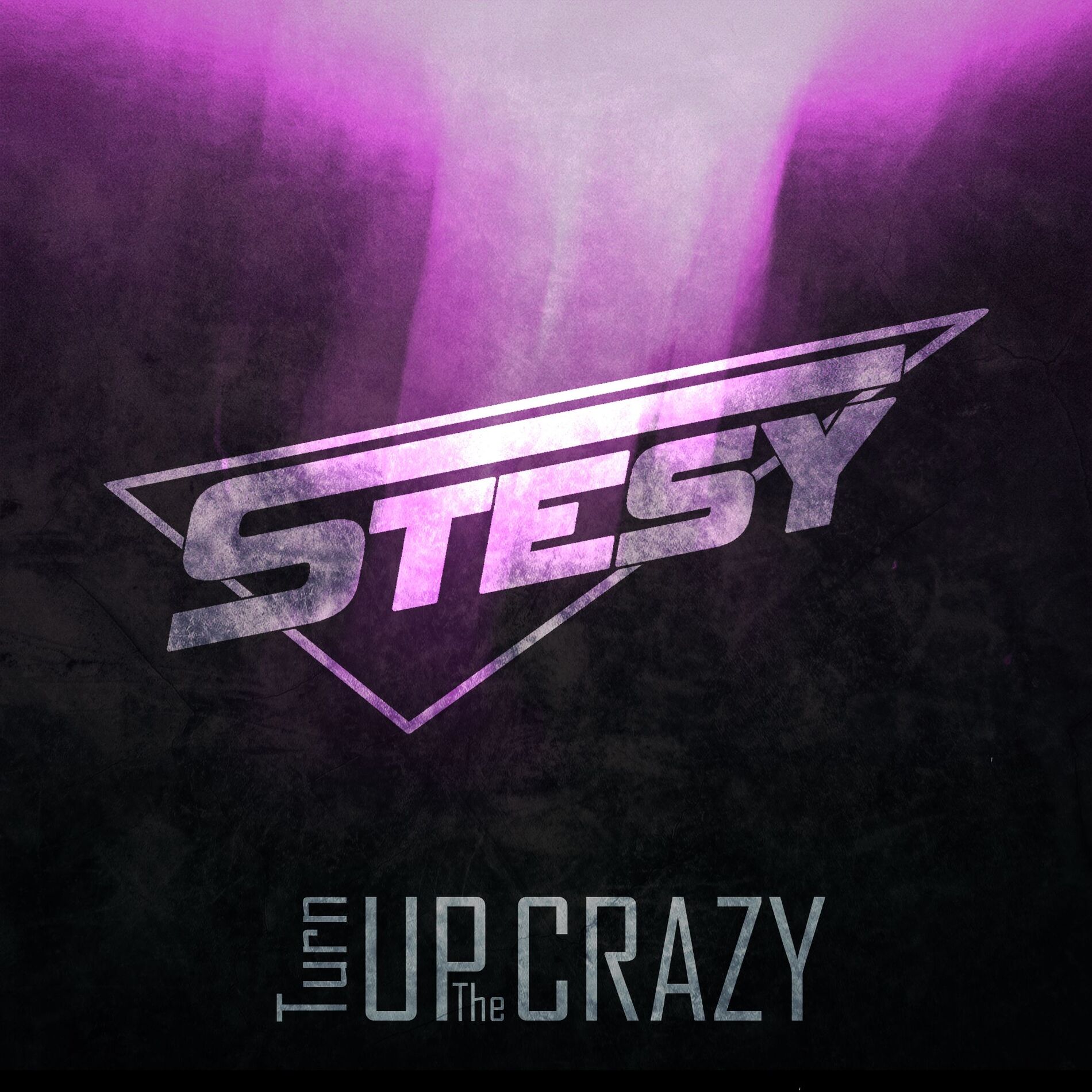 Album cover of Turn Up The Crazy