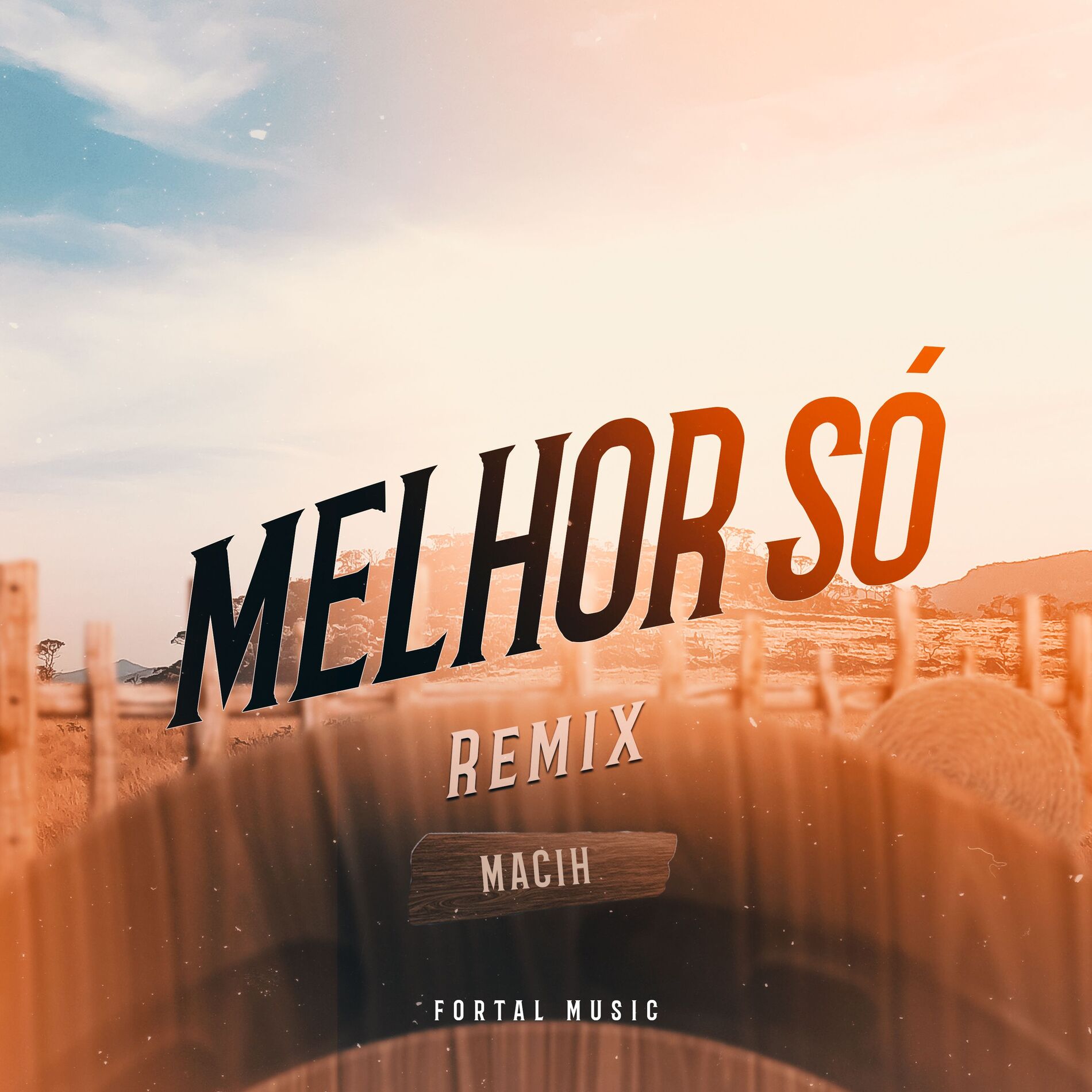 Album cover of Melhor Só (Remix)