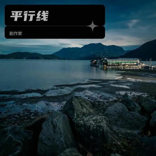 平行线2023
