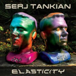 Cover of Elasticity
