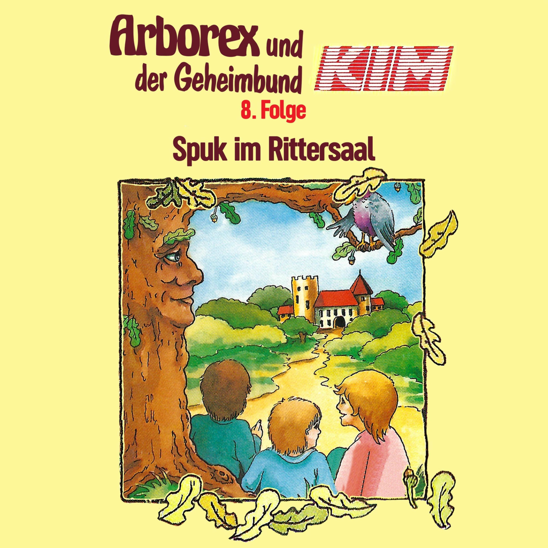Album cover of 08: Spuk im Rittersaal