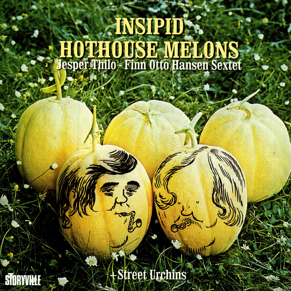 Picture of Insipid Hothouse Melons