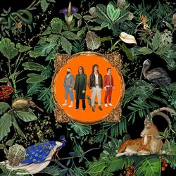 Cover of Amazing Things