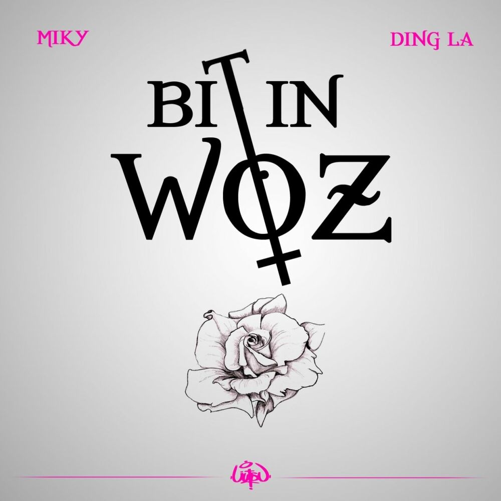 Picture of Bitin woz