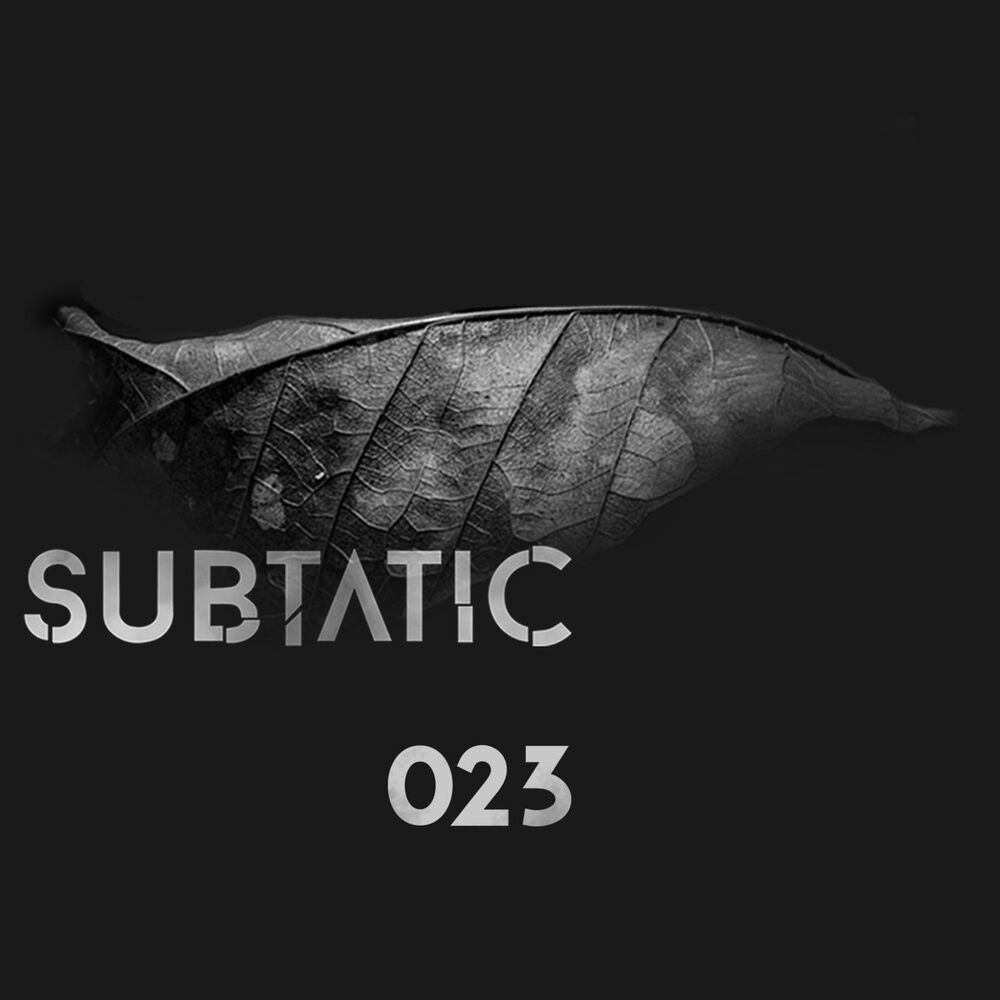 Picture of Subtatic 023