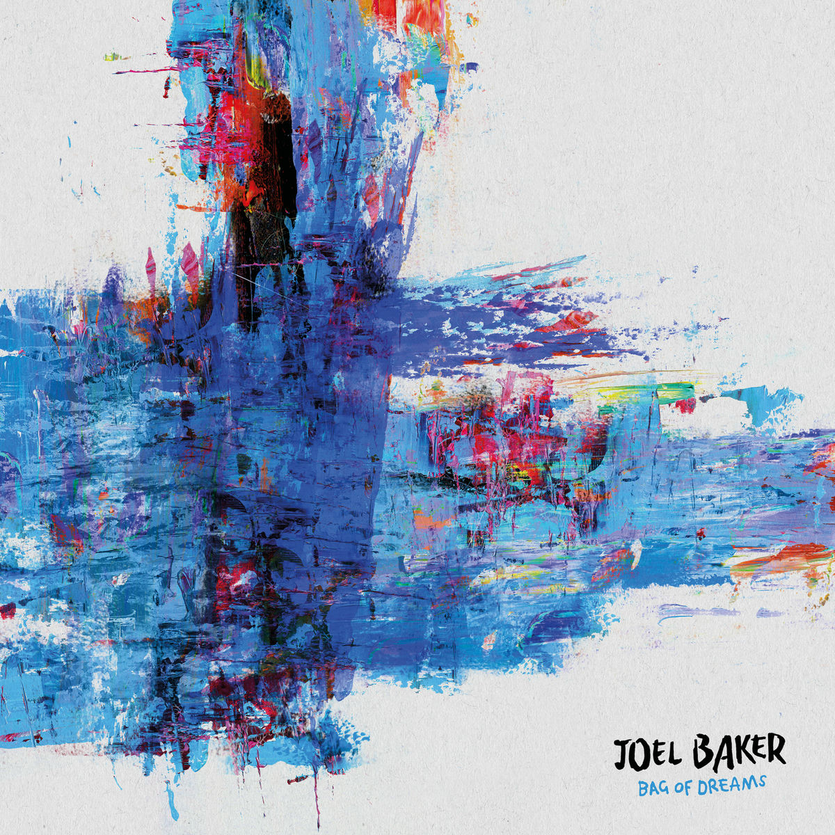Album cover of Bag Of Dreams