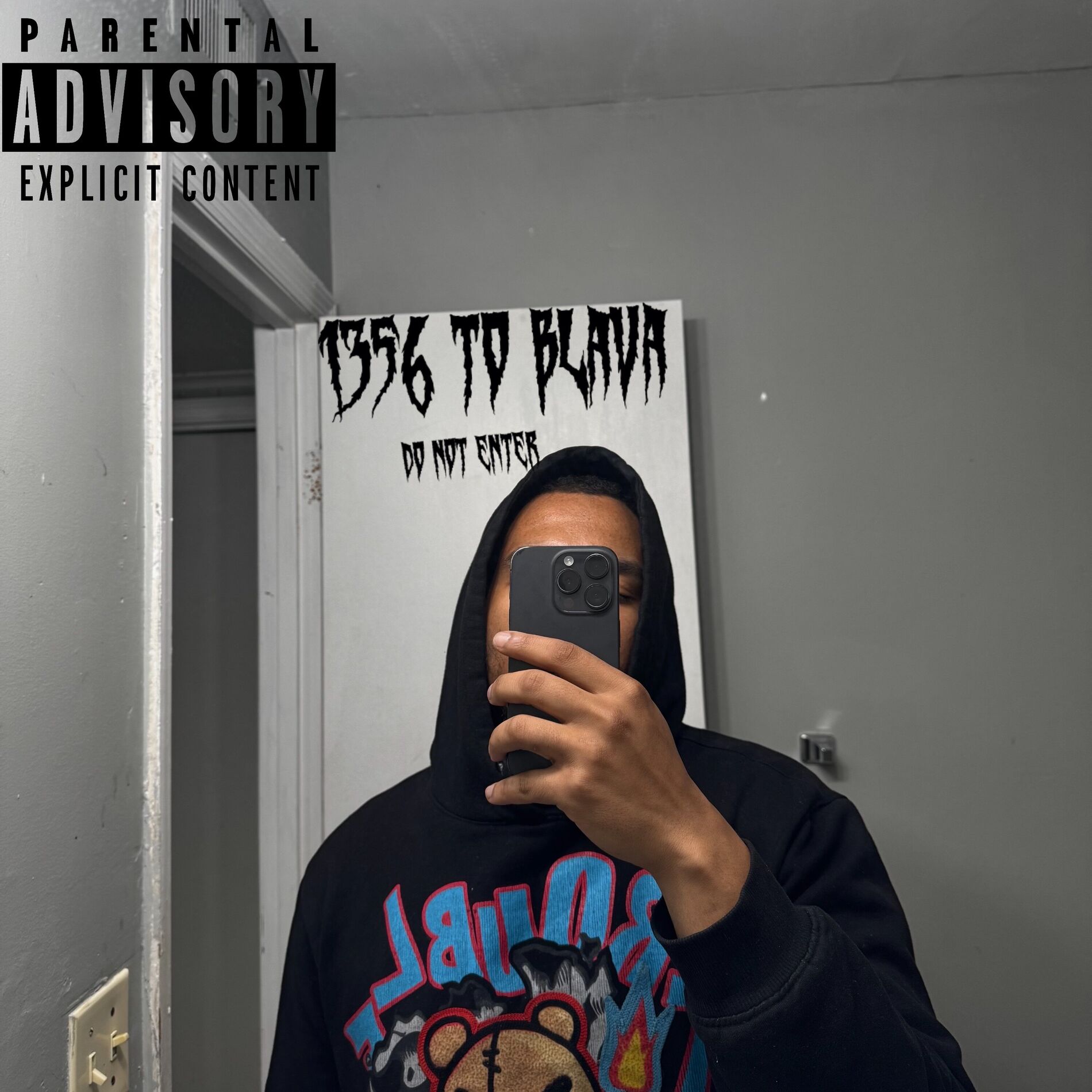 Album cover of 1356 To Blava