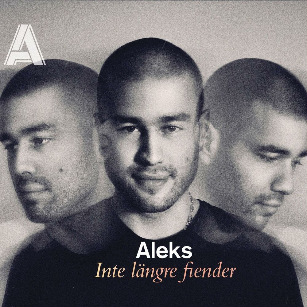 Picture of Inte längre fiender