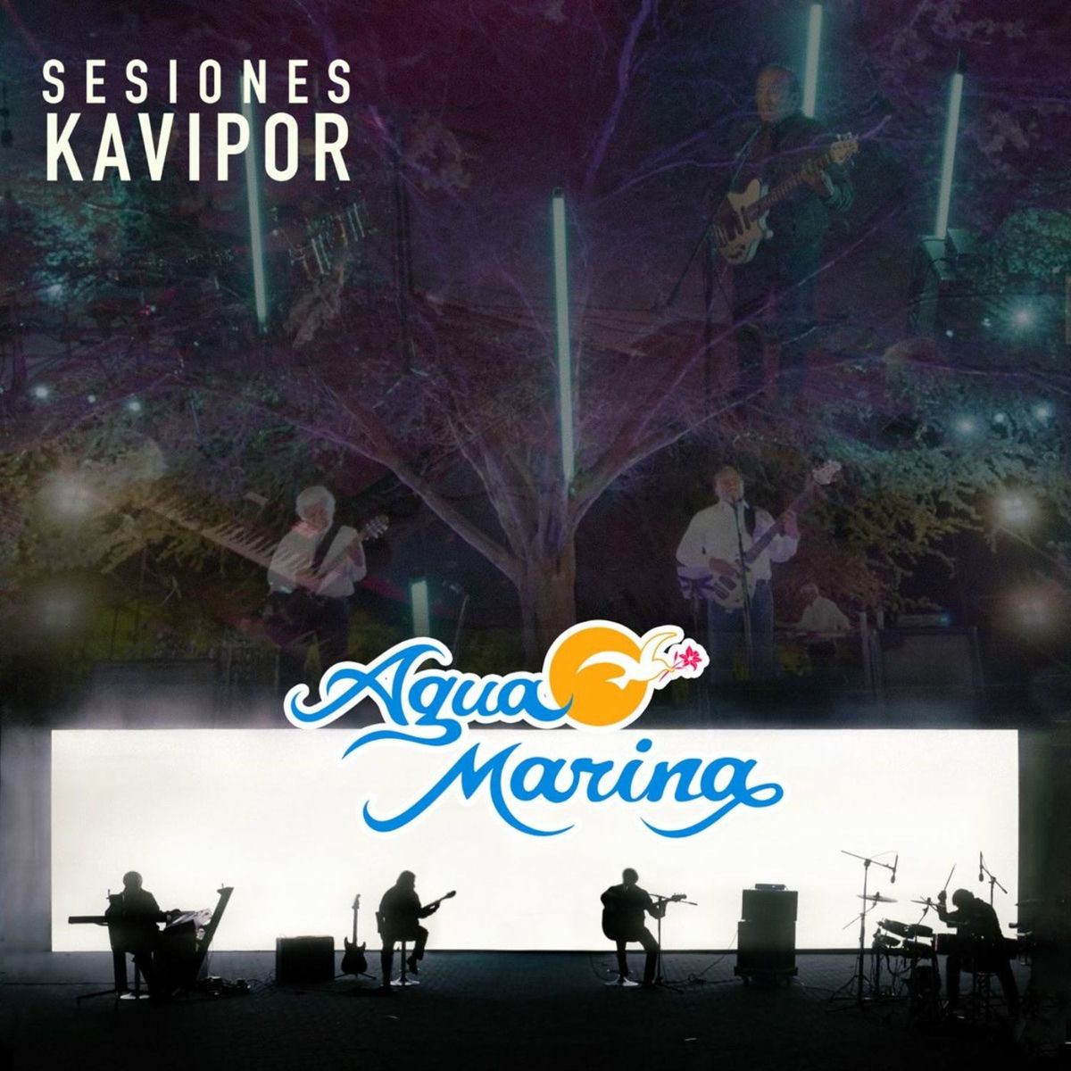 Album cover of Sesiones Kavipor