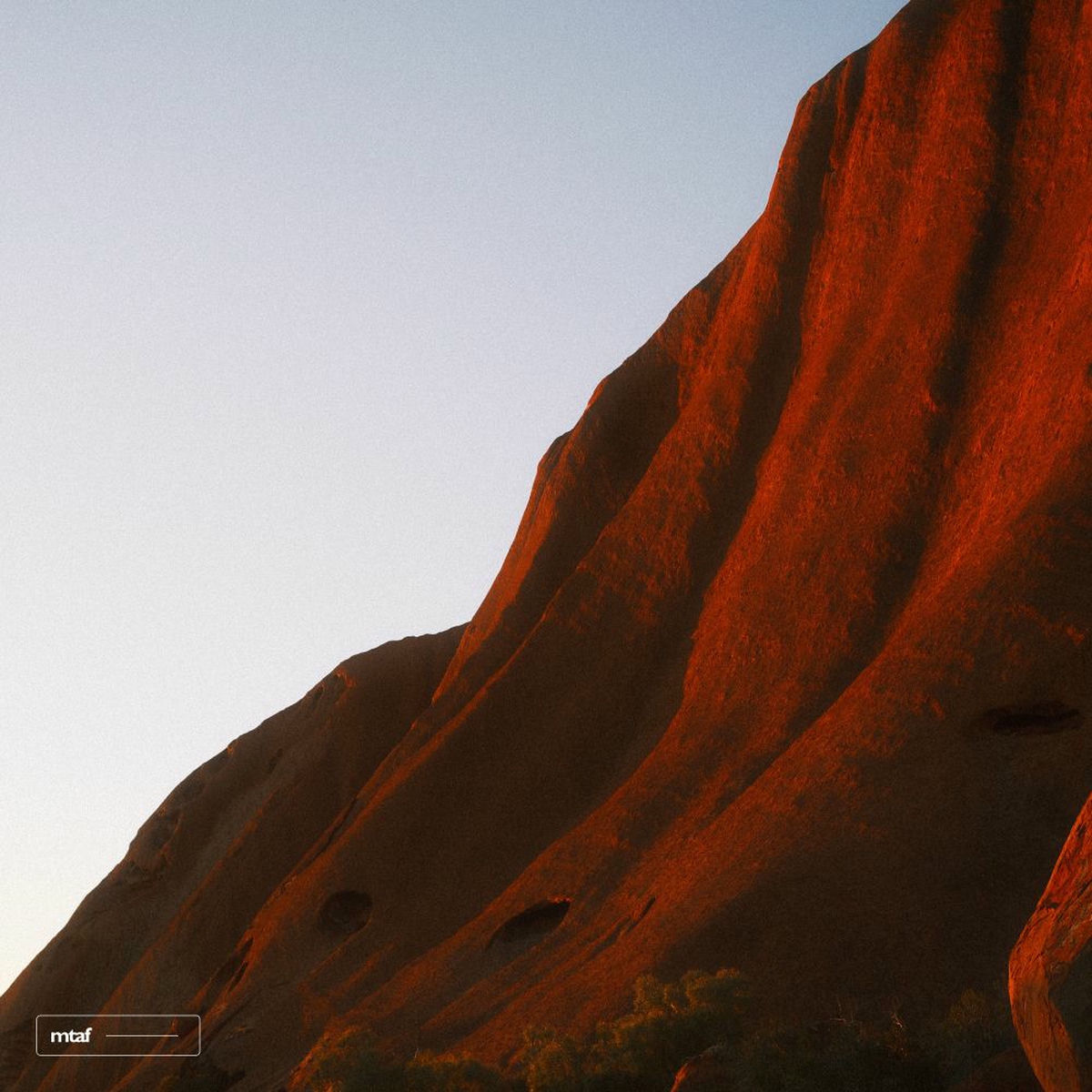 Album cover of In The Silence