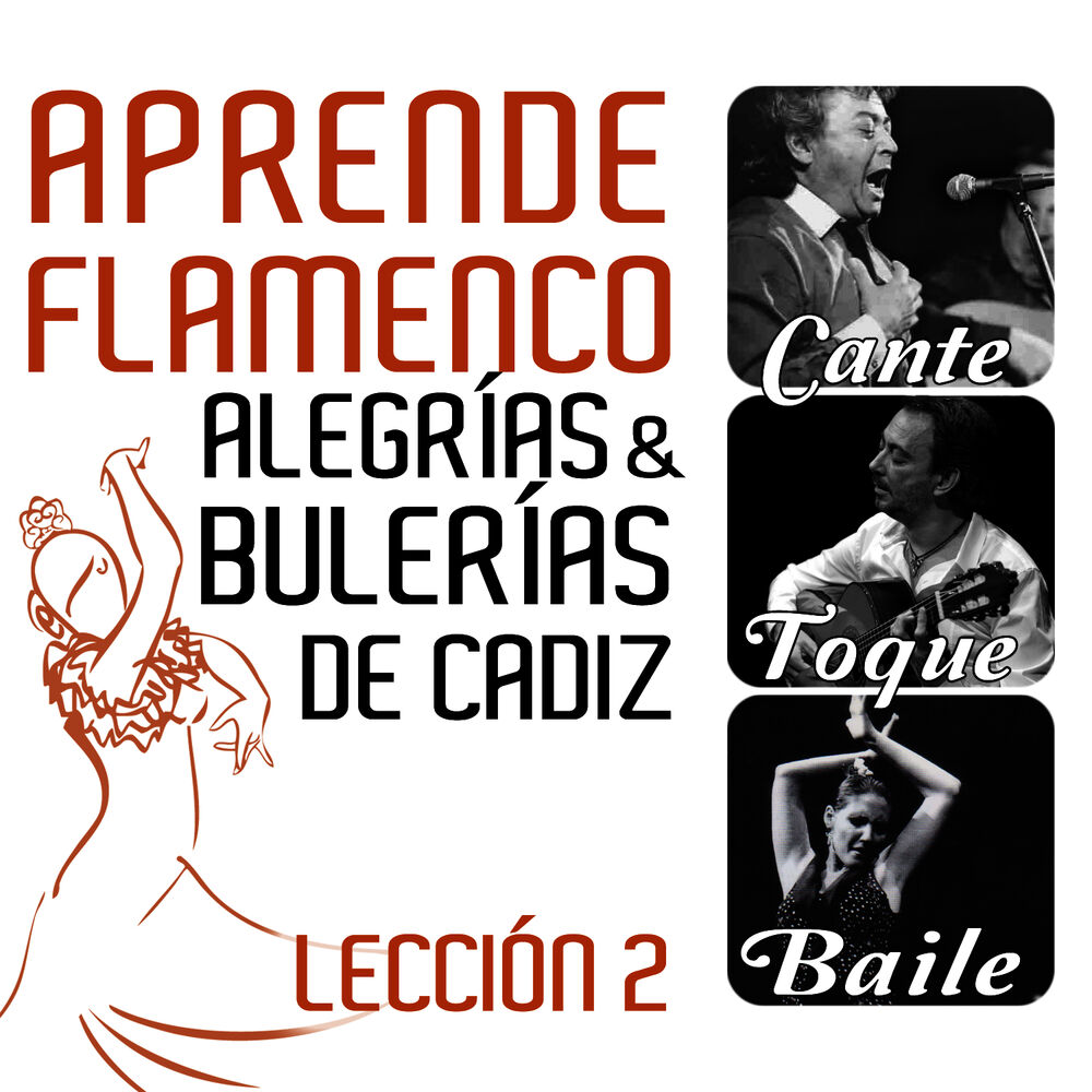 Picture of Aprende Flamenco. Alegrías y Bulerias de Cádiz: Lección 2