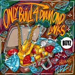 Cover of ONLY BUILT 4 DIAMOND LINKS
