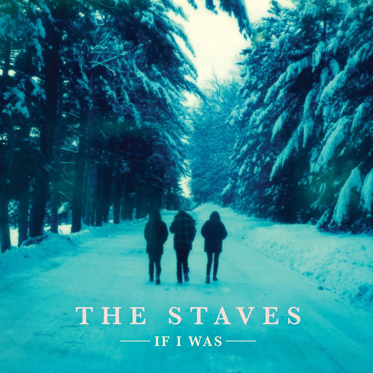 Album cover of Steady