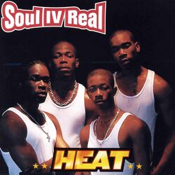 Cover of Heat