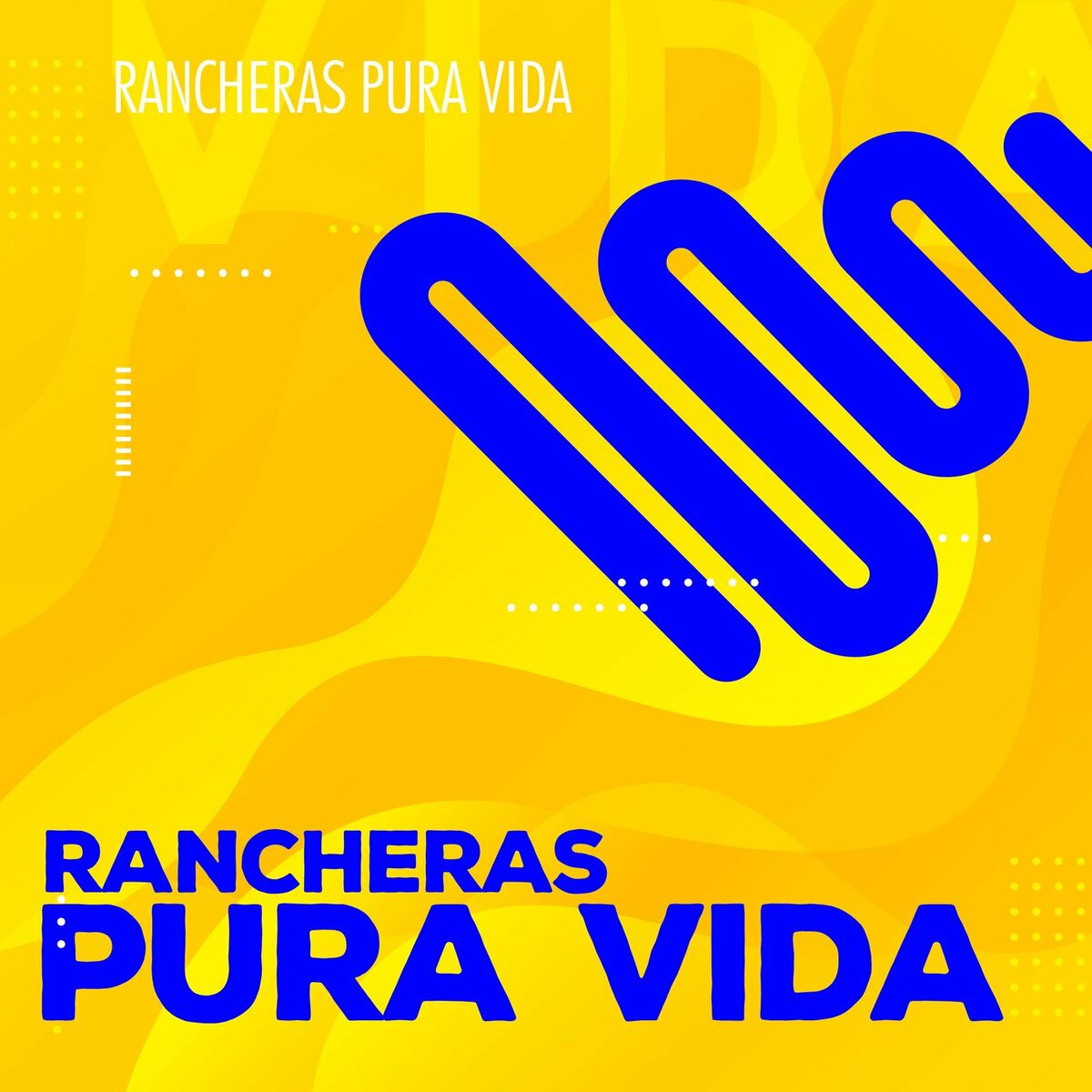Album cover of Rancheras Pura Vida