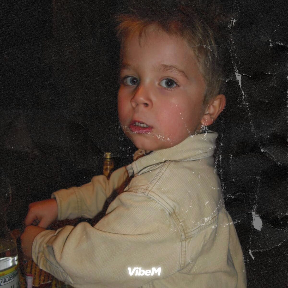 Album cover of Dreamchaser With Mood Swings