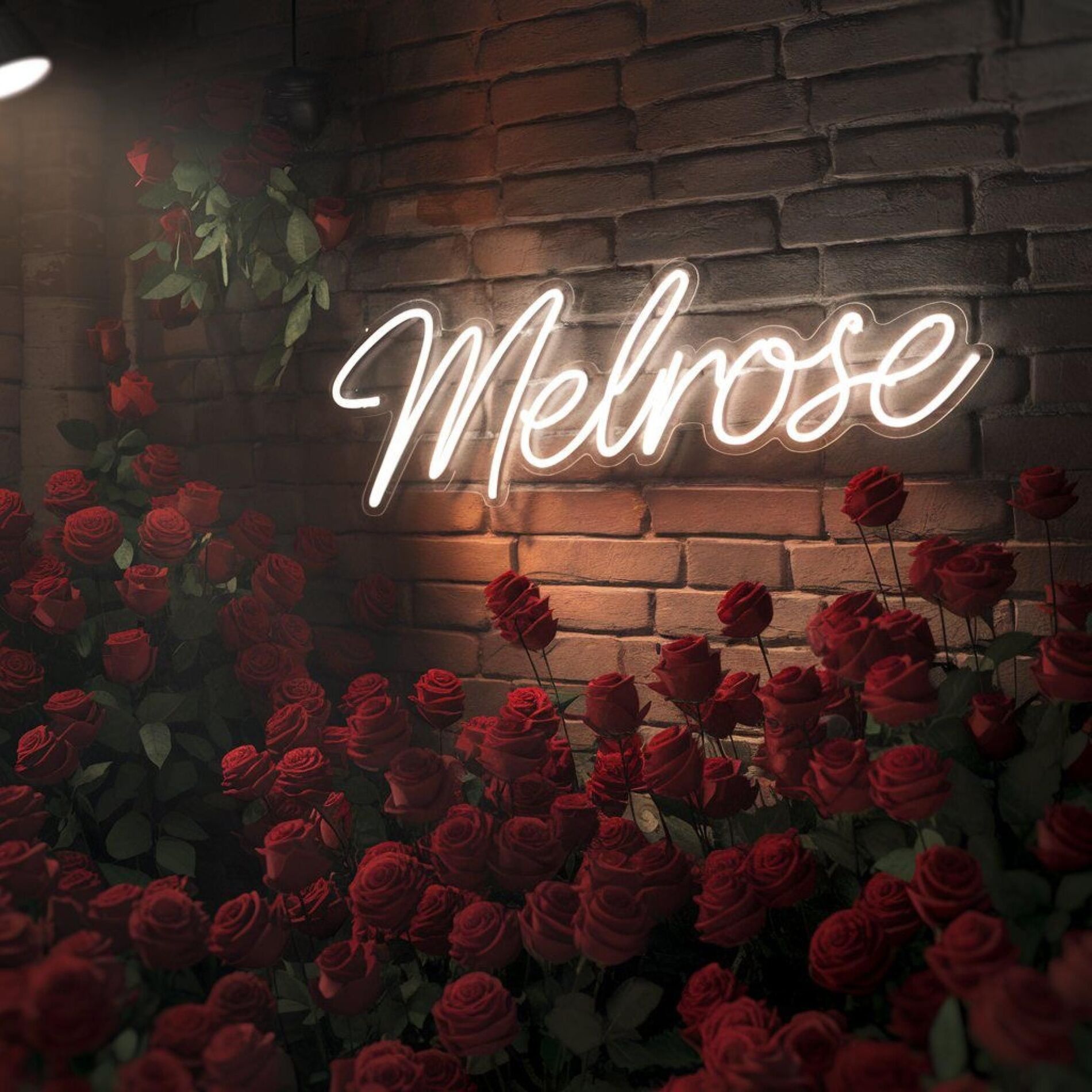 Album cover of Melrose