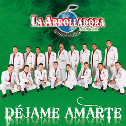 Cover of Déjame Amarte