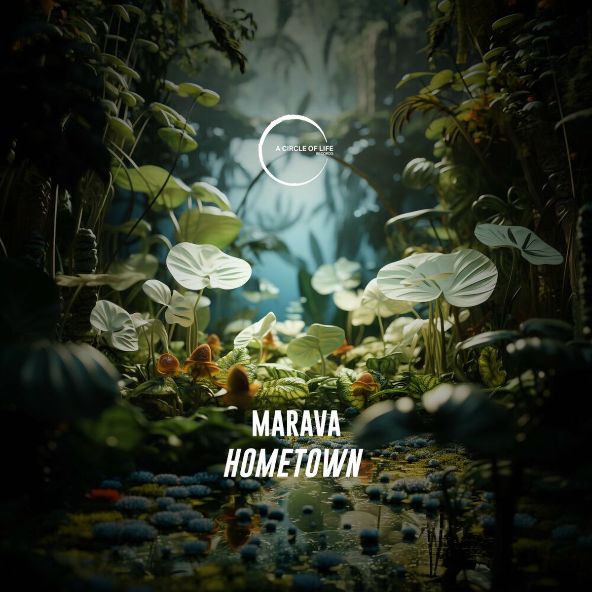 Album cover of HomeTown