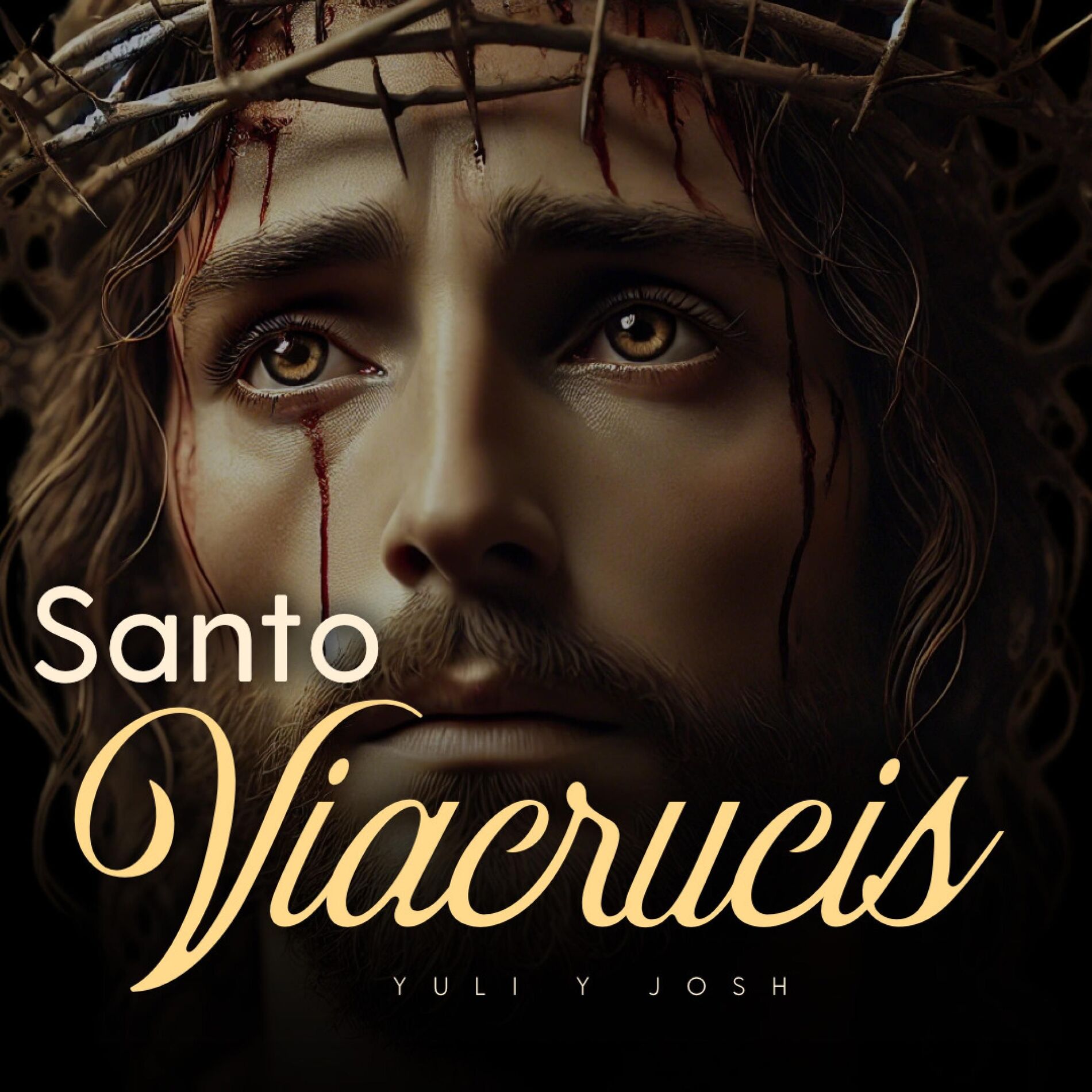 Album cover of Viacrucis Meditado, La Pasión de Cristo (El camino de la Cruz)