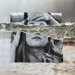 Cover of Animal