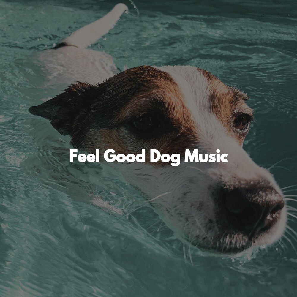Picture of Feel Good Dog Music
