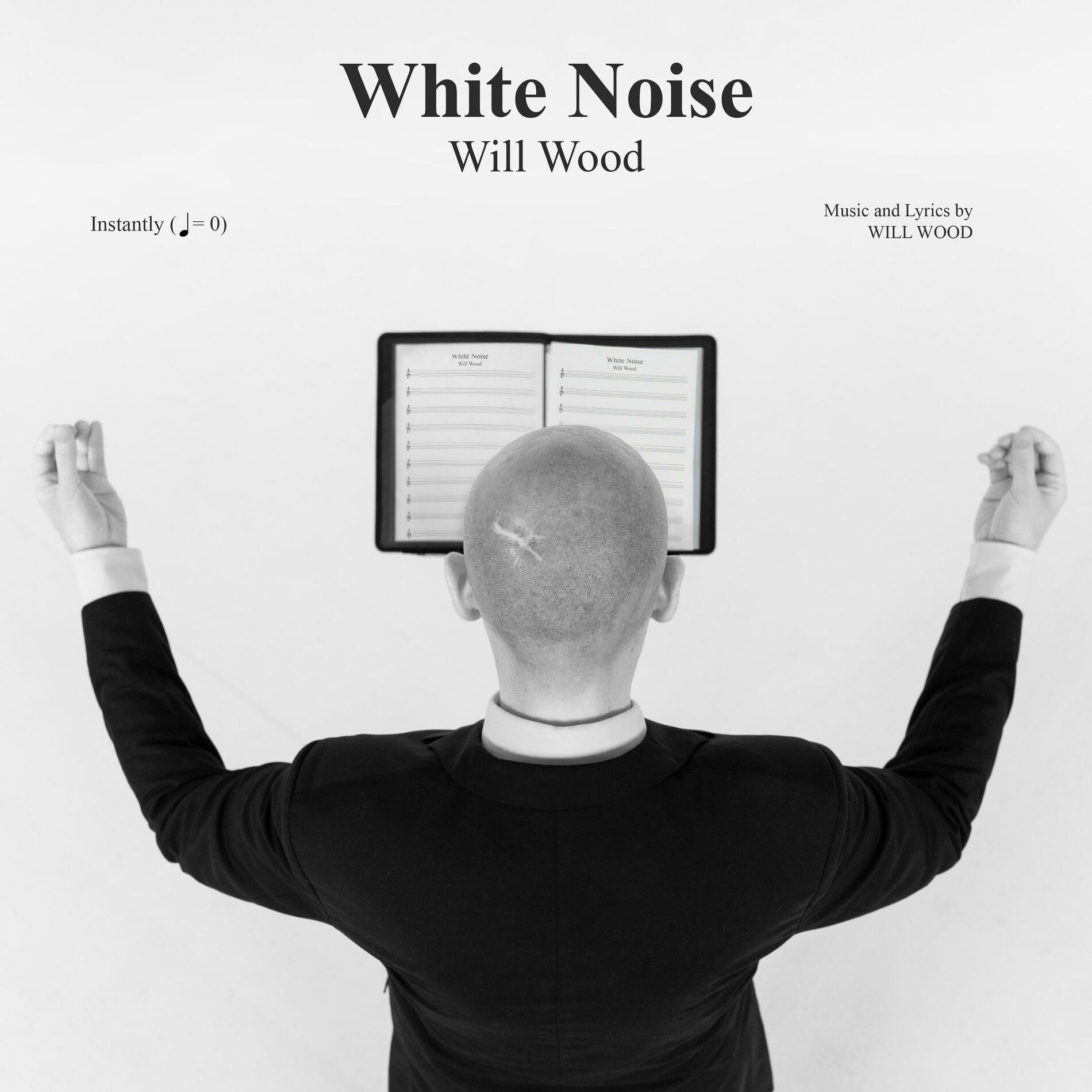 Album cover of White Noise
