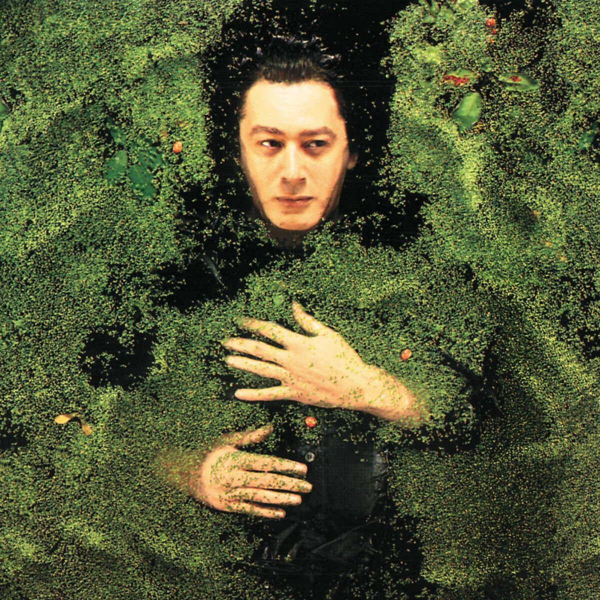 Album cover of Fantaisie Militaire