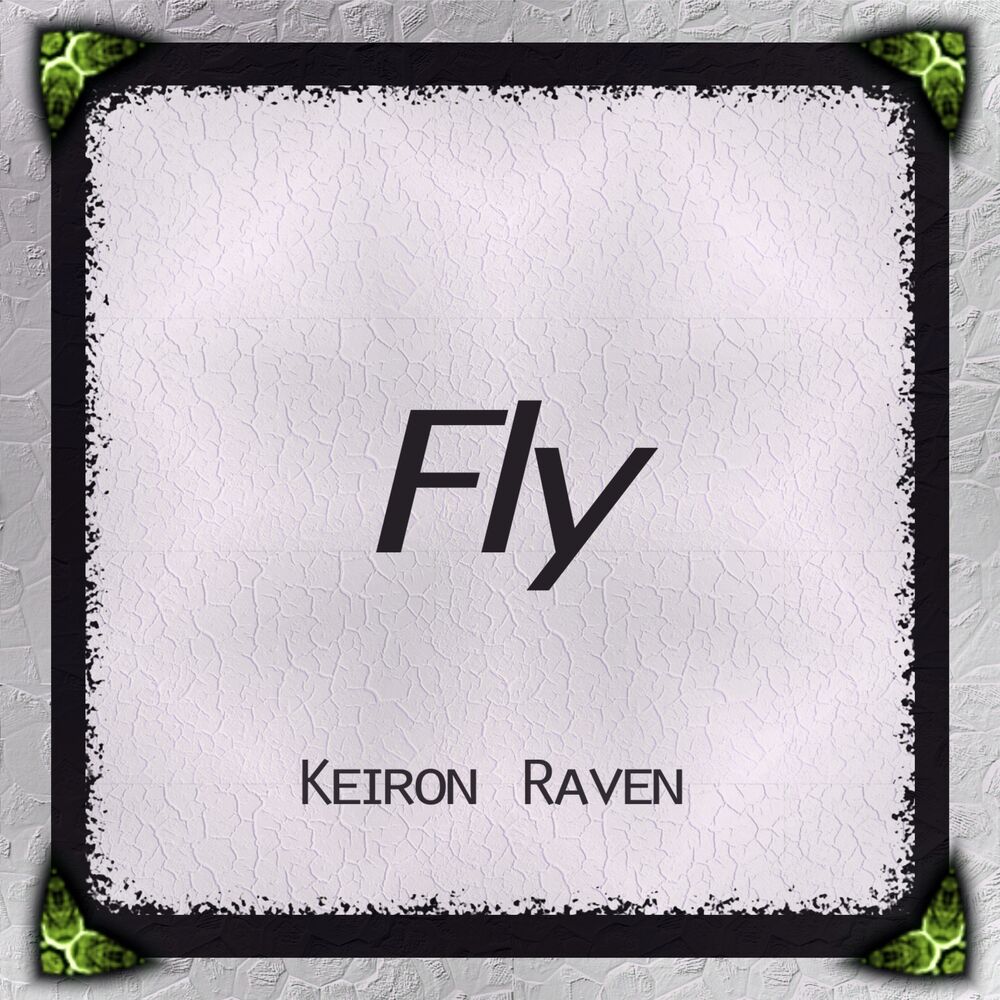 Picture of Fly