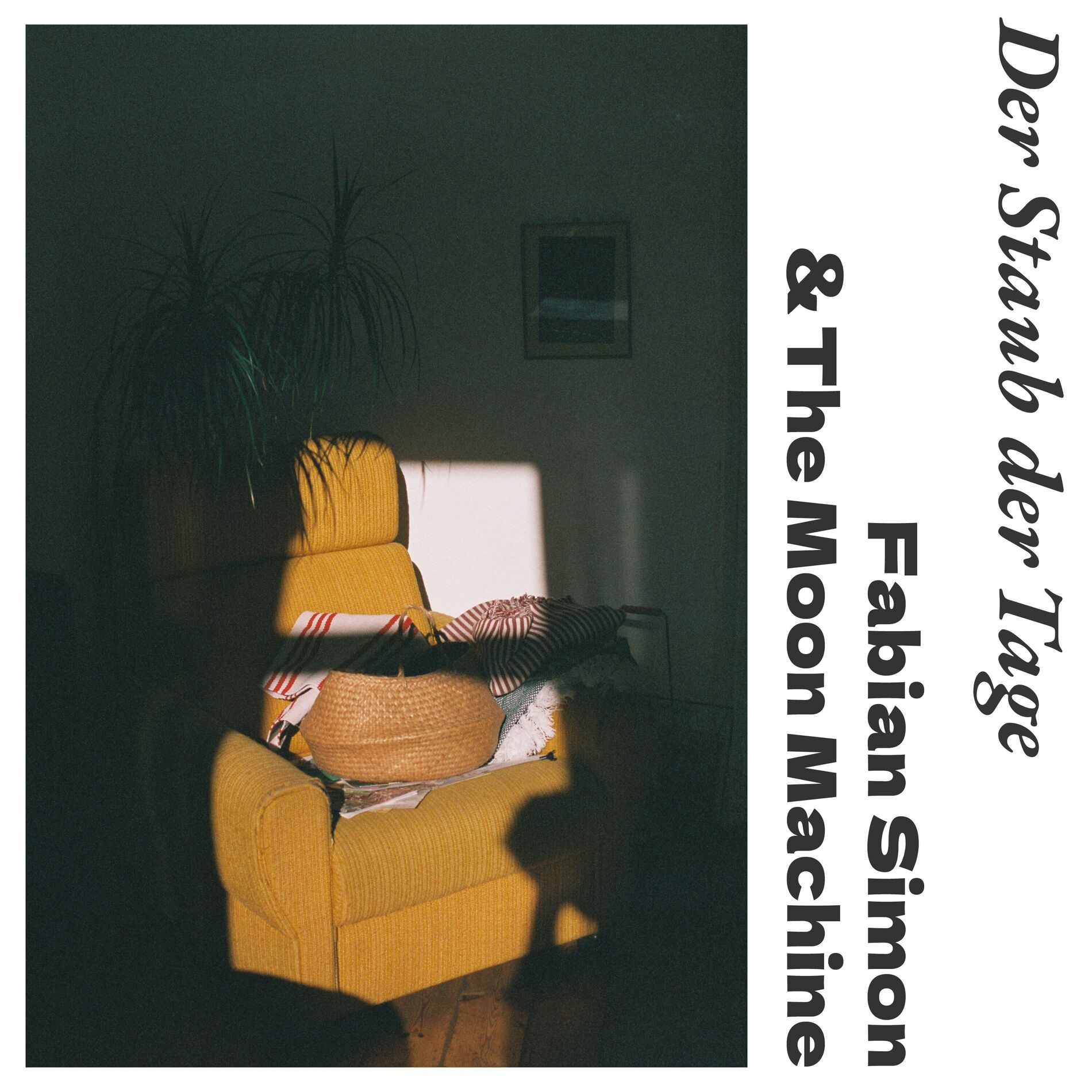 Album cover of Der Staub der Tage