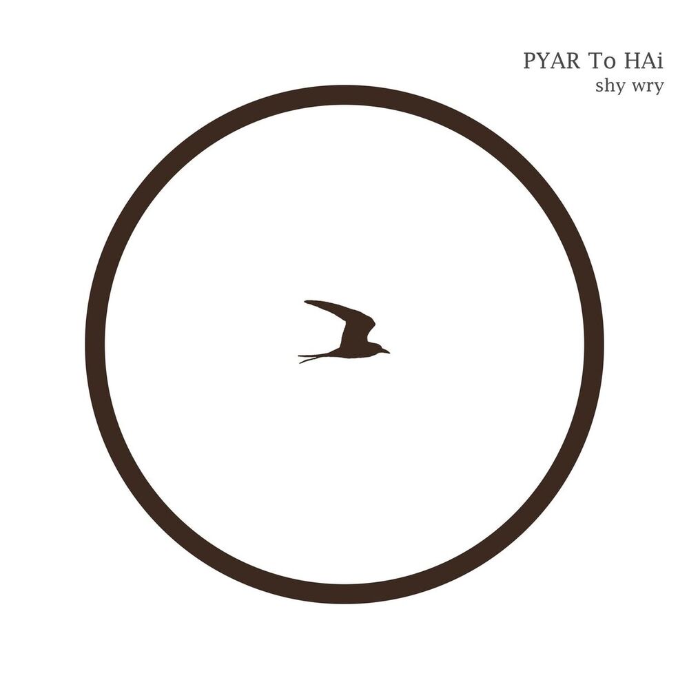 Picture of PYAR To HAi