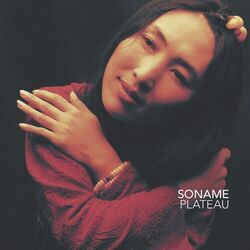 Cover of Plateau