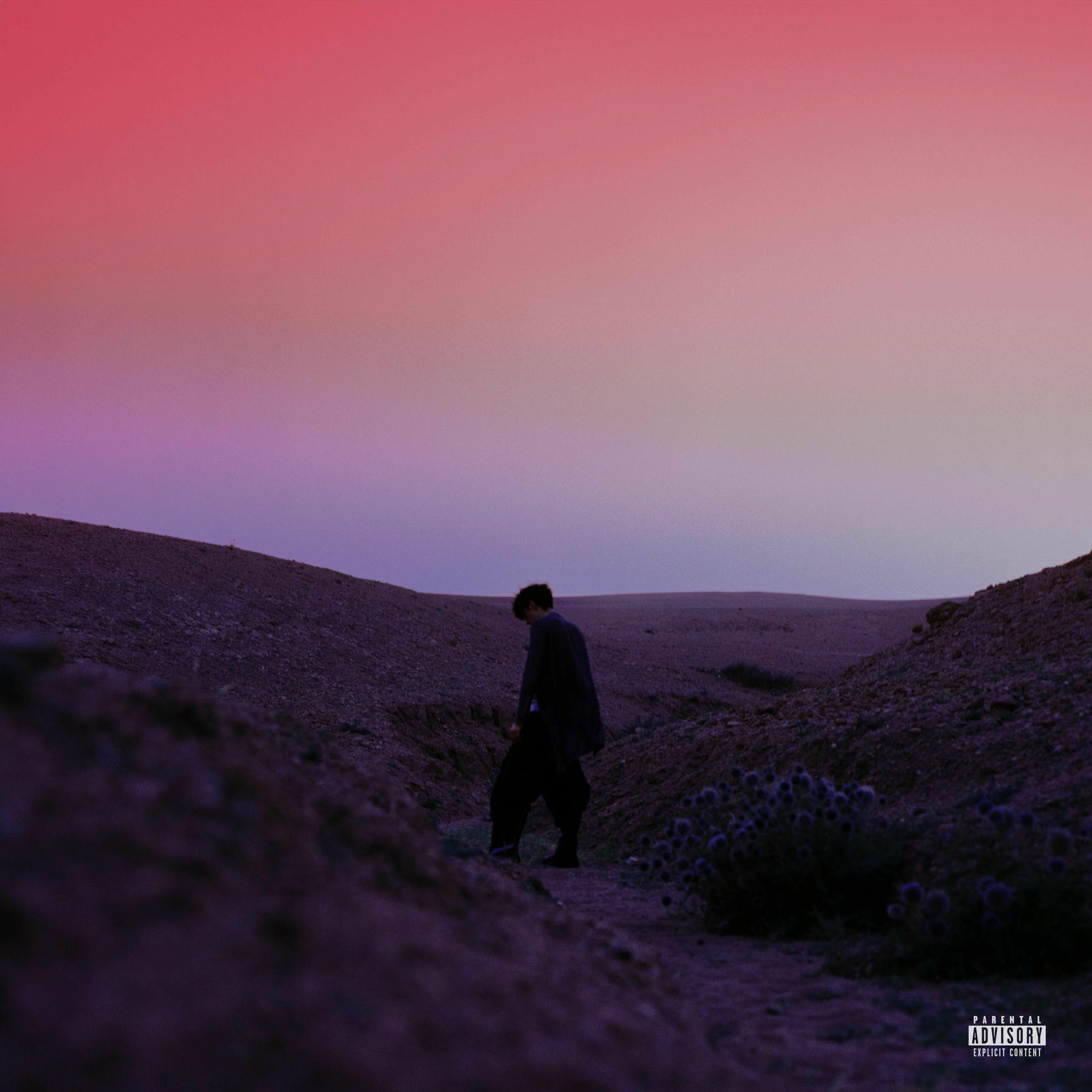 Album cover of afterlight*