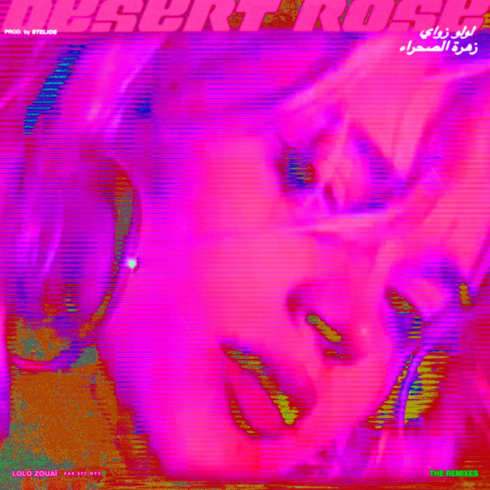 Album cover of Desert Rose - Slowed + Reverb (low lows)