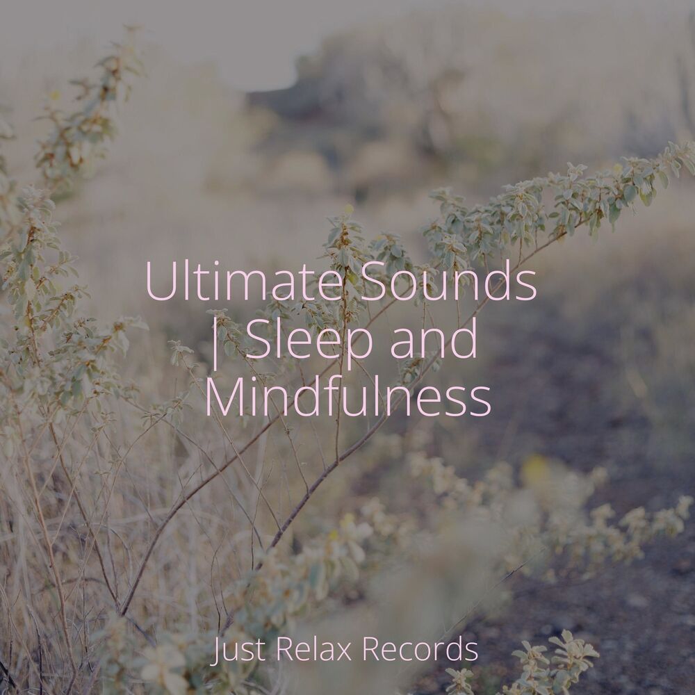 Picture of Ultimate Sounds | Sleep and Mindfulness