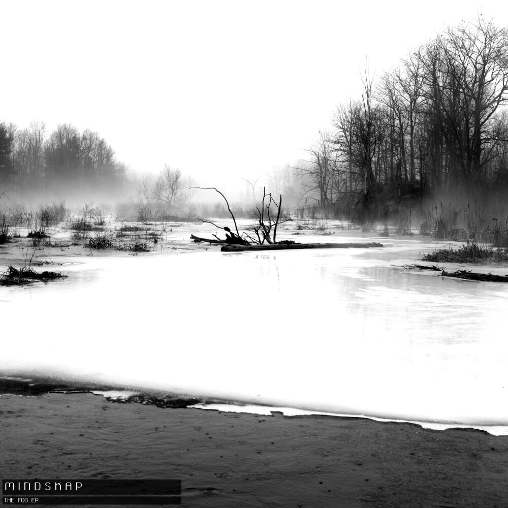 Picture of The Fog EP