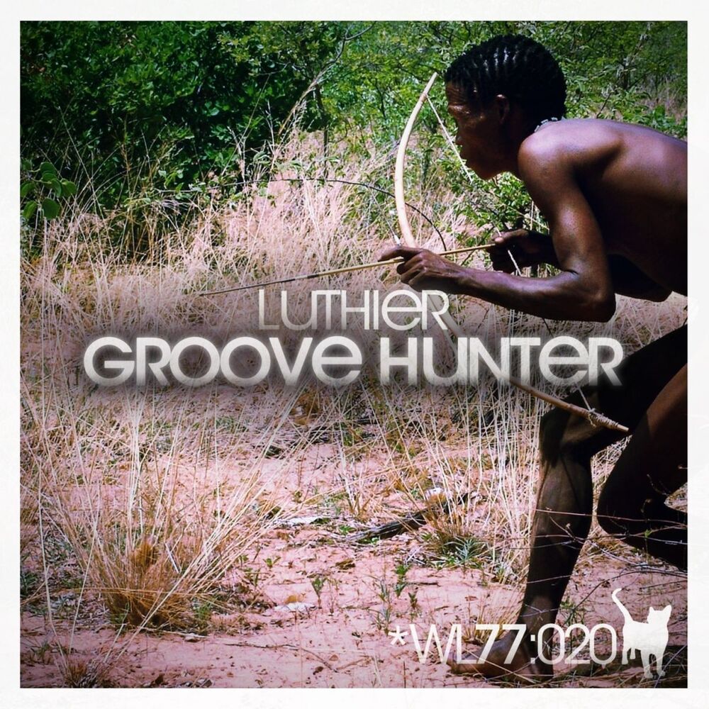 Picture of Groove Hunter